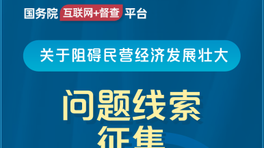 小洞白浆视频国务院“互联网+督查”平台公开征集阻碍民营经济发展壮大问题线索